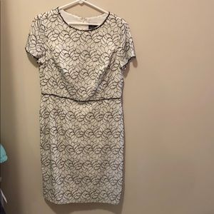 Adrianna Papell black and white lace dress